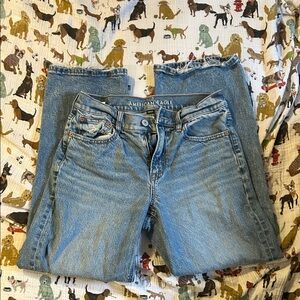 American Eagle Outfitters Women's Denim Stovepipe Jeans